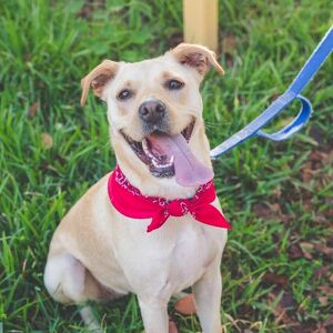 Fundraising Page: Tracy LeRoy